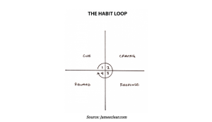  habit loop